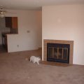 Empty Living Room Kitch and cat