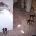 laundry room and Lexi