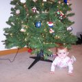 Nov 26, 2007 - Kylee under tree (2)