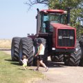 August 30, 2008 - Farming in Drake (17)