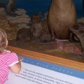 Oct 5, 2008 - Museum of Nature and Science (1)