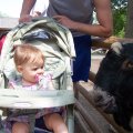 May 31, 2008 - Kylee at the Zoo (28)