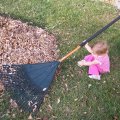 Nov 2, 2008 - Kylee helping with leaves (2)