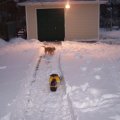Nov 7, 2008 - Playing in the snow (9)