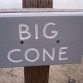 Big Cone