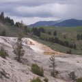 Mammoth Springs (3)