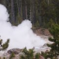 Steamboat Geyser (1)
