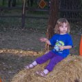 Sept 24, 2009 - Pumpkin Patch (34)