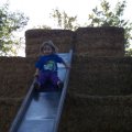 Sept 24, 2009 - Pumpkin Patch (7)