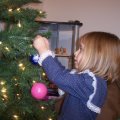 Nov 27, 2010 - Putting up Christmas Tree (10)