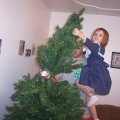 Nov 27, 2010 - Putting up Christmas Tree (6)