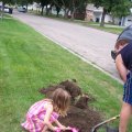 August 4, 2011 - Planting Eve (4)