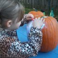 Oct 23, 2011 - Pumpkin carving (3)