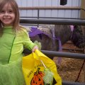 Oct 29, 2011 - Miniature Horse Rescue Halloween Party (12)