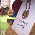 Oct 29, 2011 - Miniature Horse Rescue Halloween Party (14)