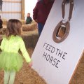 Oct 29, 2011 - Miniature Horse Rescue Halloween Party (15)
