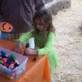 Oct 29, 2011 - Miniature Horse Rescue Halloween Party (21)
