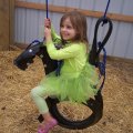 Oct 29, 2011 - Miniature Horse Rescue Halloween Party (28)
