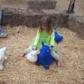 Oct 29, 2011 - Miniature Horse Rescue Halloween Party (29)
