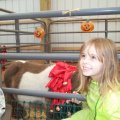 Oct 29, 2011 - Miniature Horse Rescue Halloween Party (32)