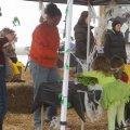 Oct 29, 2011 - Miniature Horse Rescue Halloween Party (46)