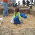 Oct 29, 2011 - Miniature Horse Rescue Halloween Party (51)