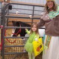 Oct 29, 2011 - Miniature Horse Rescue Halloween Party (6)