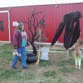 Oct 29, 2011 - Miniature Horse Rescue Halloween Party (66)