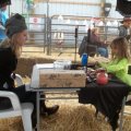 Oct 29, 2011 - Miniature Horse Rescue Halloween Party (80)