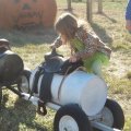 Oct 29, 2011 - Miniature Horse Rescue Halloween Party (86)