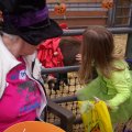 Oct 29, 2011 - Miniature Horse Rescue Halloween Party (9)