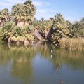 Feb 20, 2012 - Phoenix Zoo (1)