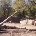 Feb 20, 2012 - Phoenix Zoo (15)