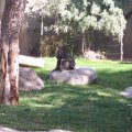 Feb 20, 2012 - Phoenix Zoo (17)