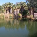 Feb 20, 2012 - Phoenix Zoo (2)