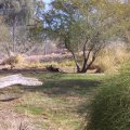 Feb 20, 2012 - Phoenix Zoo (22)