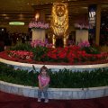 Feb 22, 2012 - MGM Grand (2)