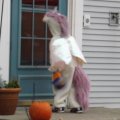 Oct 31, 2012 - Halloween (28)