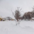 April 15, 2013 - April Blizzard (8)