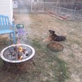 April 27, 2013 - Backyard Fire (7)