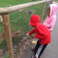 May 16, 2013 - School trip to the Zoo (10)