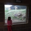 May 16, 2013 - School trip to the Zoo (14)