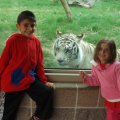May 16, 2013 - School trip to the Zoo (16)