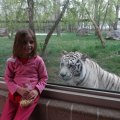 May 16, 2013 - School trip to the Zoo (20)