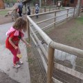 May 16, 2013 - School trip to the Zoo (3)