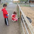 May 16, 2013 - School trip to the Zoo (6)