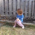 May 4, 2013 - Planting rose bushes (2)