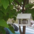Birdhouse (6)