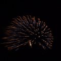 July 4, 2013 (52)