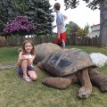July 18, 2013 - Reptile Gardens (26)